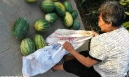 夏邑吃瓜最新事件爆料,揭秘背后惊人真相，网络热议持续升温