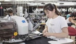 诸城纺织厂爆料案件最新,揭开企业内部腐败黑幕